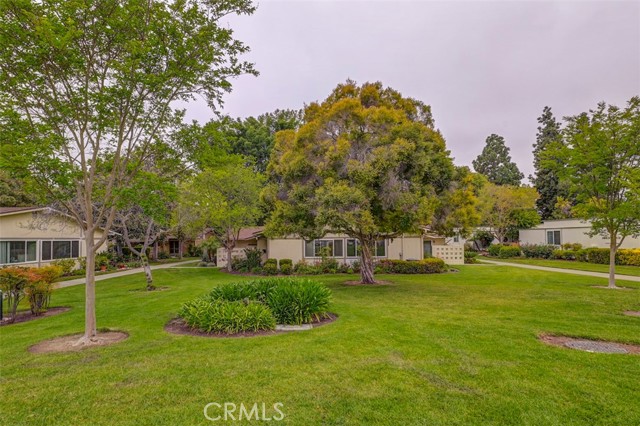241 Calle Aragon, Laguna Woods CA: https://media.crmls.org/medias/9d13afe2-0eb1-4a64-8d96-d9d4bd265eb1.jpg
