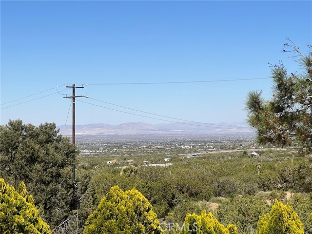 9072 Winter Green Road, Pinon Hills, CA, 92372 9072 Winter Green Road, Pinon Hills, CA, 92372