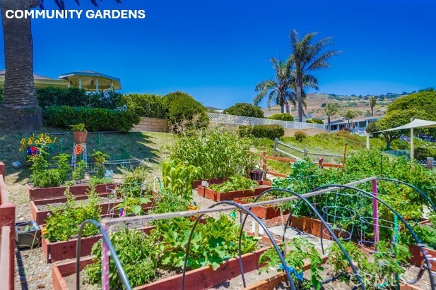 Detail Gallery Image 58 of 75 For 2275 W 25th #114,  San Pedro,  CA 90732 - 3 Beds | 2 Baths