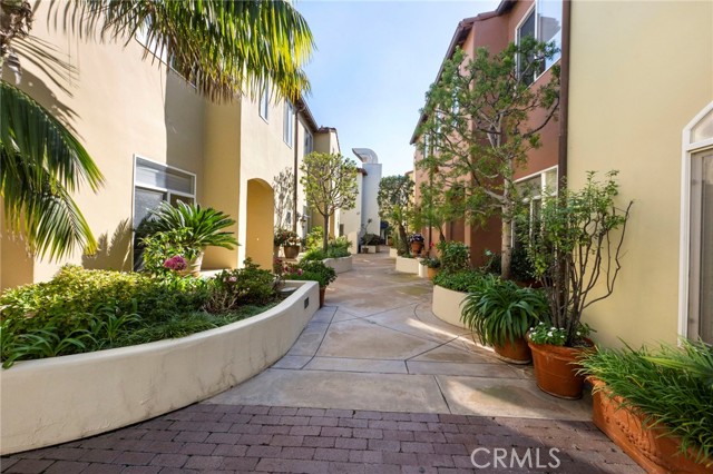 Front Image Thumbnail for CRNP25261932