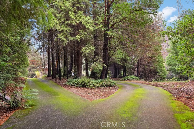 Detail Gallery Image 63 of 68 For 18774 Challenge Cut off Rd, Forbestown,  CA 95941 - 5 Beds | 3 Baths