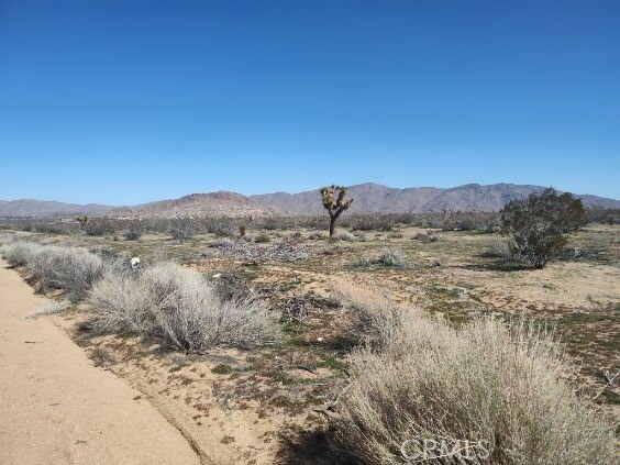 0 Laurel Street, Apple Valley, California 92308, ,Land,For Sale,0 Laurel Street,CRSR24044375