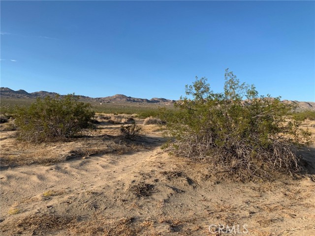 0 Pipeline Road, Joshua Tree, California 92252, ,Land,For Sale,0 Pipeline Road,CRDW23206723