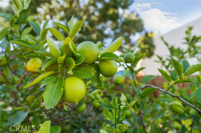 Detail Gallery Image 53 of 60 For 13346 Rimview Ct, Yucaipa,  CA 92399 - 3 Beds | 2/1 Baths