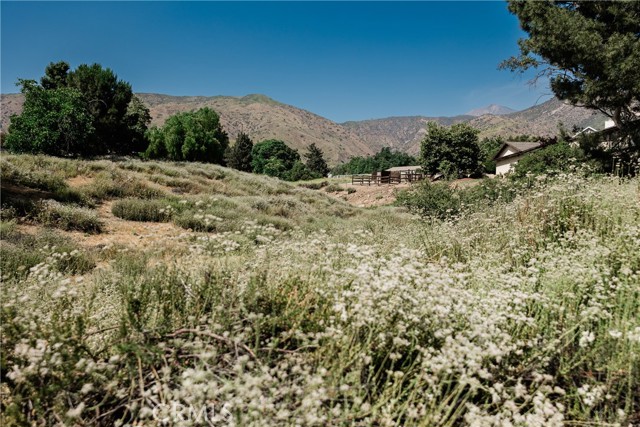 Detail Gallery Image 47 of 52 For 10261 Fremont St, Yucaipa,  CA 92399 - 4 Beds | 2/1 Baths