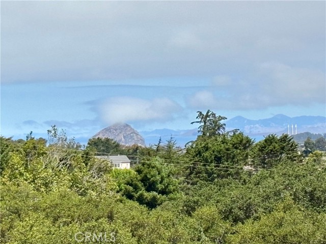 1960 Andre Avenue, Los Osos CA: https://media.crmls.org/medias/9d3e558e-c99c-477f-aa7c-6675613cd83c.jpg