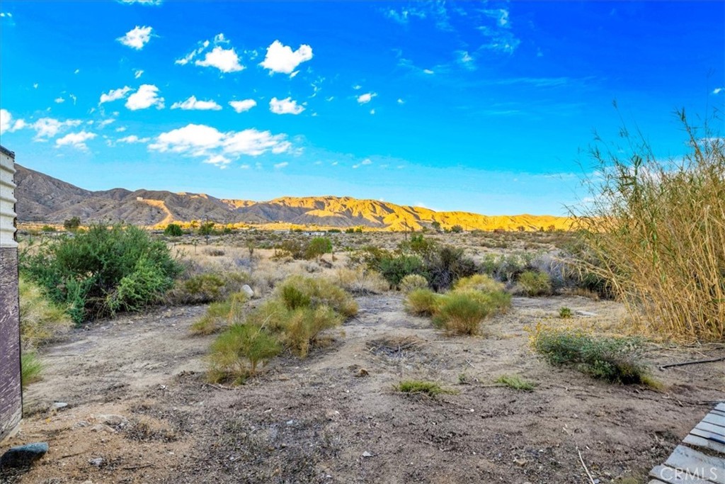 MLS #JT25260931 image #31