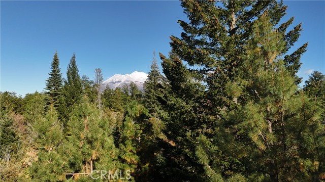 Detail Gallery Image 20 of 22 For 0 Muledeer Rd., Weed,  CA 96094 - – Beds | – Baths