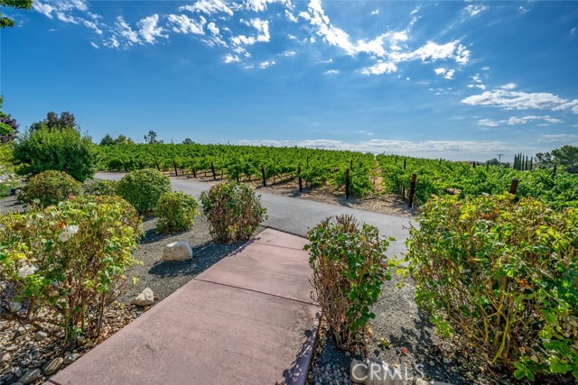 Detail Gallery Image 60 of 74 For 6172 Hawk Ridge Place, Paso Robles,  CA 93446 - 4 Beds | 3/1 Baths