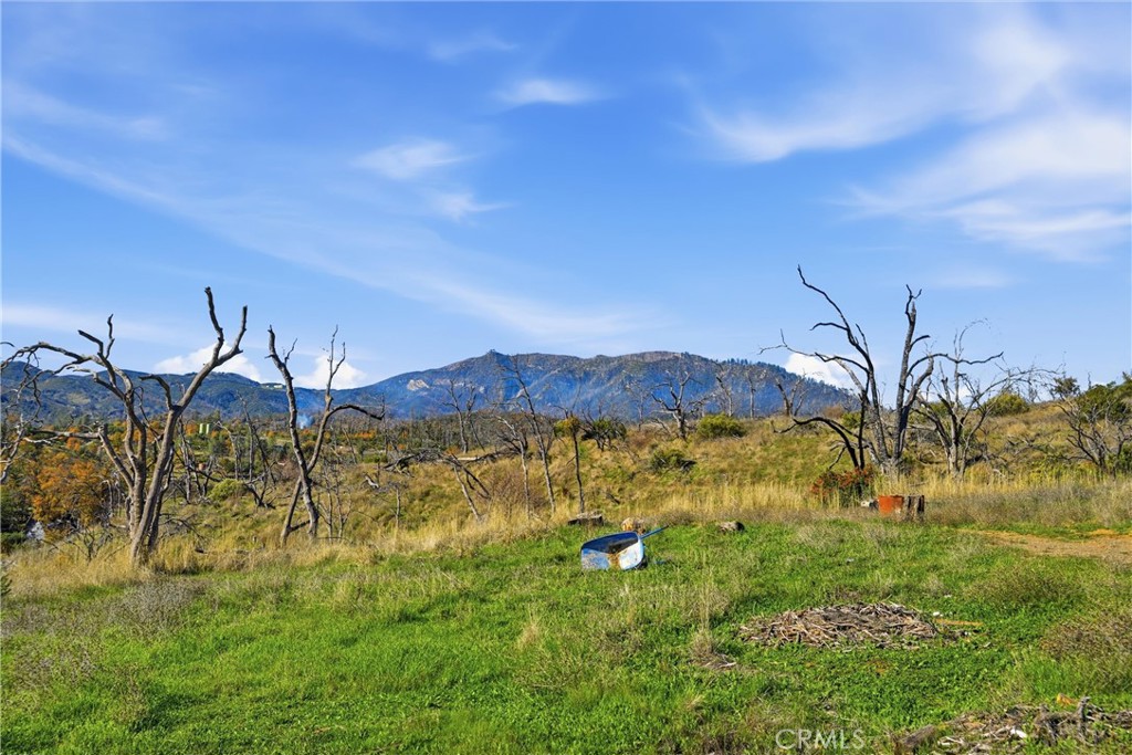 MLS #LC25273256 image #5