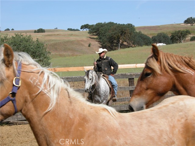 Detail Gallery Image 6 of 18 For 0 Nickel Creek Rd, San Miguel,  CA 93451 - – Beds | – Baths