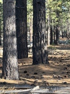 Detail Gallery Image 5 of 15 For 34557 Polique Canyon, Fawnskin,  CA 92333 - – Beds | – Baths