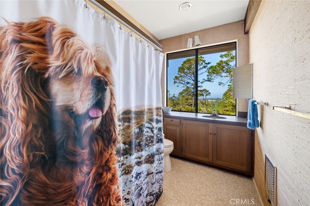 9D53F0A4 2Ecc 4095 Bffb 9A45Fba43Bd6 900 Pineridge Drive, Cambria, Ca 93428 &Lt;Span Style='BackgroundColor:transparent;Padding:0Px;'&Gt; &Lt;Small&Gt; &Lt;I&Gt; &Lt;/I&Gt; &Lt;/Small&Gt;&Lt;/Span&Gt;