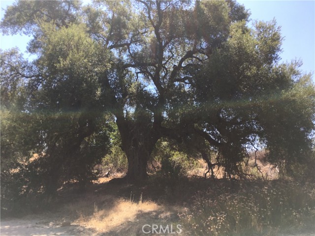 Detail Gallery Image 12 of 26 For 35010 Willow Creek Rd., Hemet,  CA 92544 - – Beds | – Baths