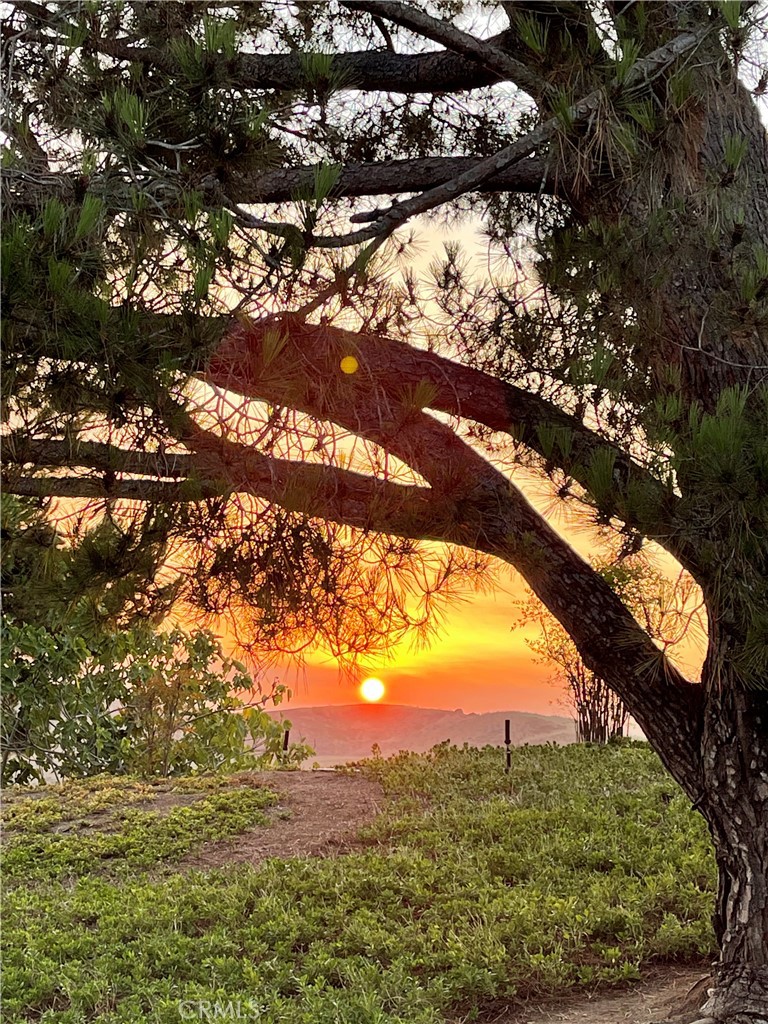 https://media.crmls.org/medias/9d55332c-29cd-474a-8450-0a104851204f.jpg?preset=X-Large