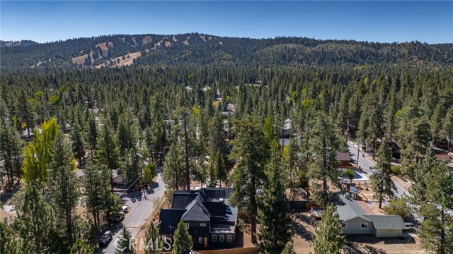 Detail Gallery Image 65 of 70 For 248 Oriole Dr, Big Bear Lake,  CA 92315 - 4 Beds | 3/1 Baths