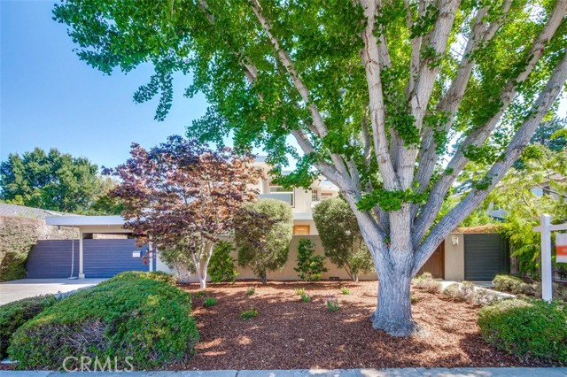 Detail Gallery Image 58 of 65 For 1523 Hamilton Ave, Palo Alto,  CA 94303 - 4 Beds | 3/1 Baths