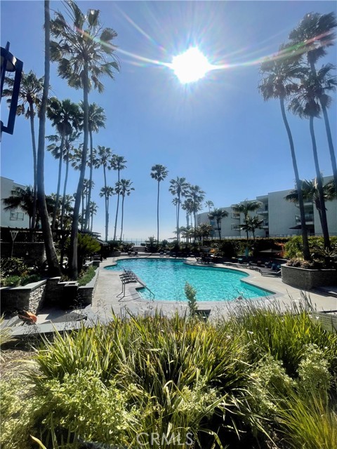 The Ocean Club pool