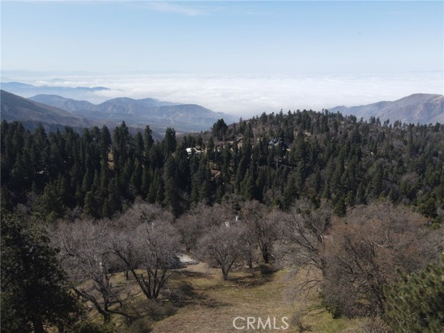 2461 Spring Oak Drive, Running Springs CA: https://media.crmls.org/medias/9d6025e2-e965-4db0-8de2-79467b3fca07.jpg