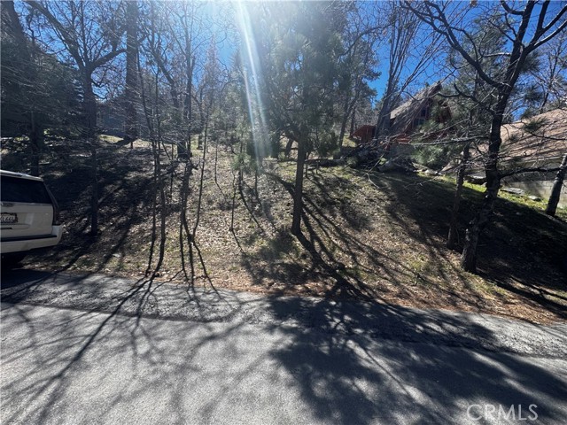 Detail Gallery Image 5 of 15 For 0 Oriole Rd, Wrightwood,  CA 92397 - – Beds | – Baths