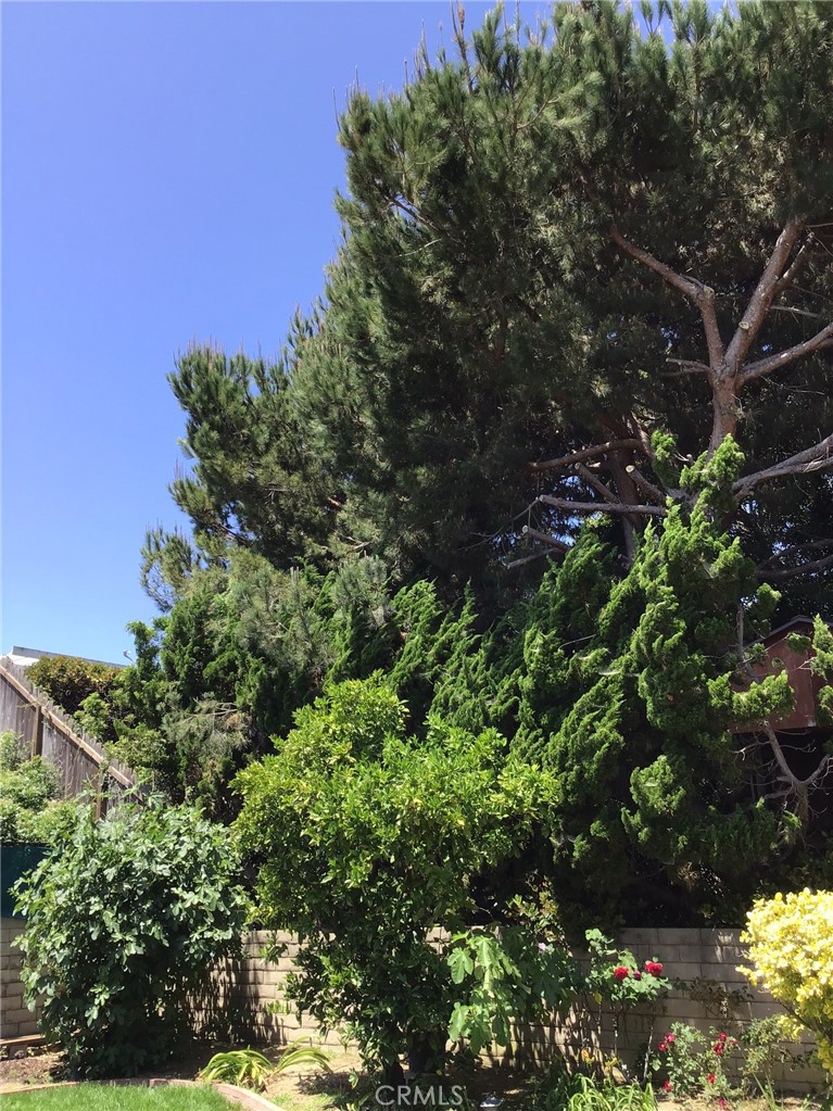 https://media.crmls.org/medias/9d683456-9700-42a9-a200-b7fef1e36279.jpg?preset=X-Large