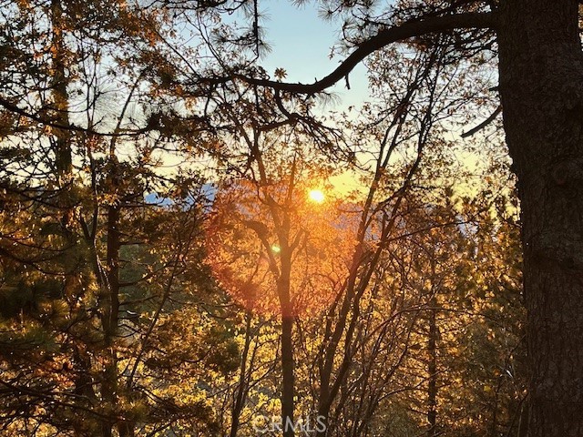 Detail Gallery Image 33 of 40 For 1215 Scenic Way, Rimforest,  CA 92378 - 3 Beds | 2/1 Baths