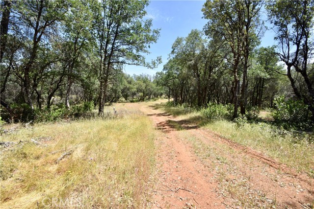 0 Mackey Court, Oroville CA: https://media.crmls.org/medias/9d73912f-b52f-4556-89ca-7df50fb61ee0.jpg
