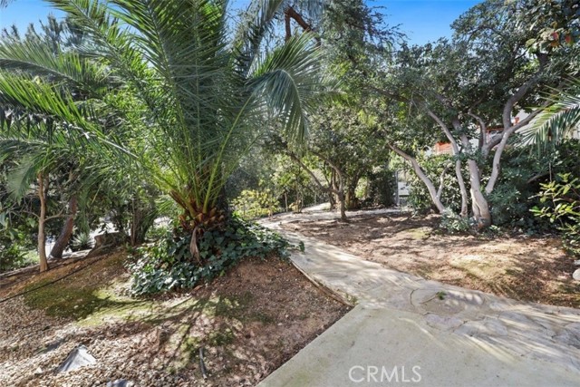 Detail Gallery Image 15 of 69 For 1804 Valle Vista, Redlands,  CA 92373 - 6 Beds | 4/1 Baths