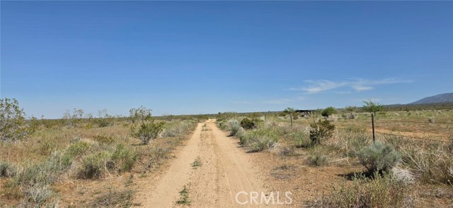 Front Image Thumbnail for CRSR26084961