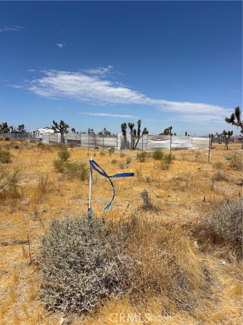  Land for Sale in Black Butte, California