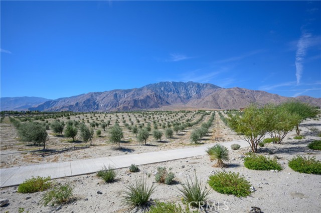 Detail Gallery Image 42 of 43 For 265 Mustang Ln, Palm Springs,  CA 92262 - 4 Beds | 3/1 Baths