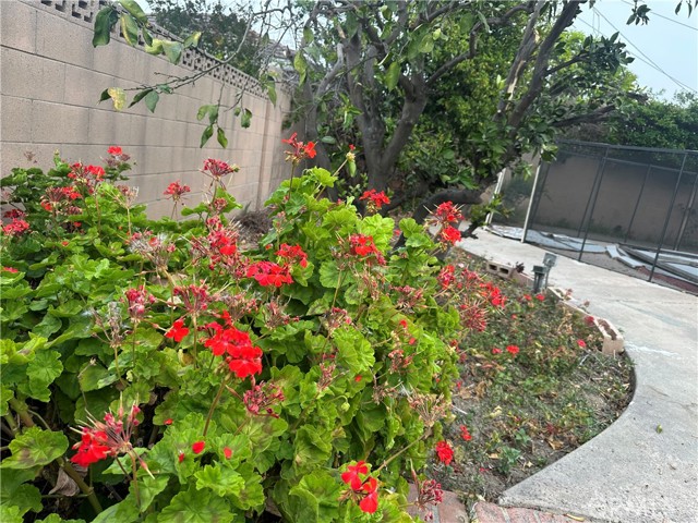 Detail Gallery Image 29 of 36 For 3025 E Hillcrest Ave, Orange,  CA 92867 - 7 Beds | 6 Baths