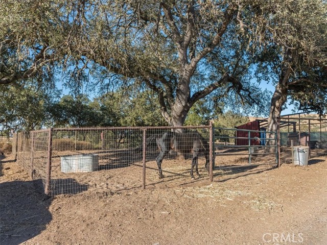 Detail Gallery Image 13 of 67 For 1845 Lupine L Ln, Templeton,  CA 93446 - 2 Beds | 1 Baths