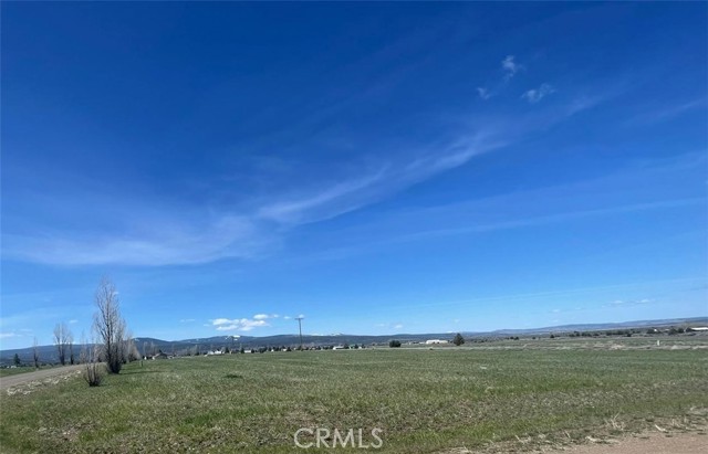 0 Yellow Pine Drive, Alturas, California 96101, ,Land,For Sale,0 Yellow Pine Drive,CROC23191882