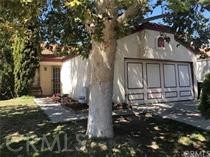 1462 Apple Creek Drive