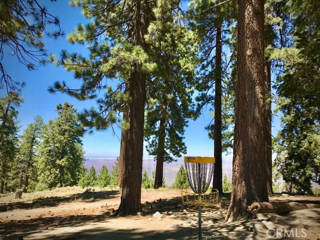 Detail Gallery Image 19 of 24 For 1301 Irene St, Wrightwood,  CA 92397 - 3 Beds | 1 Baths
