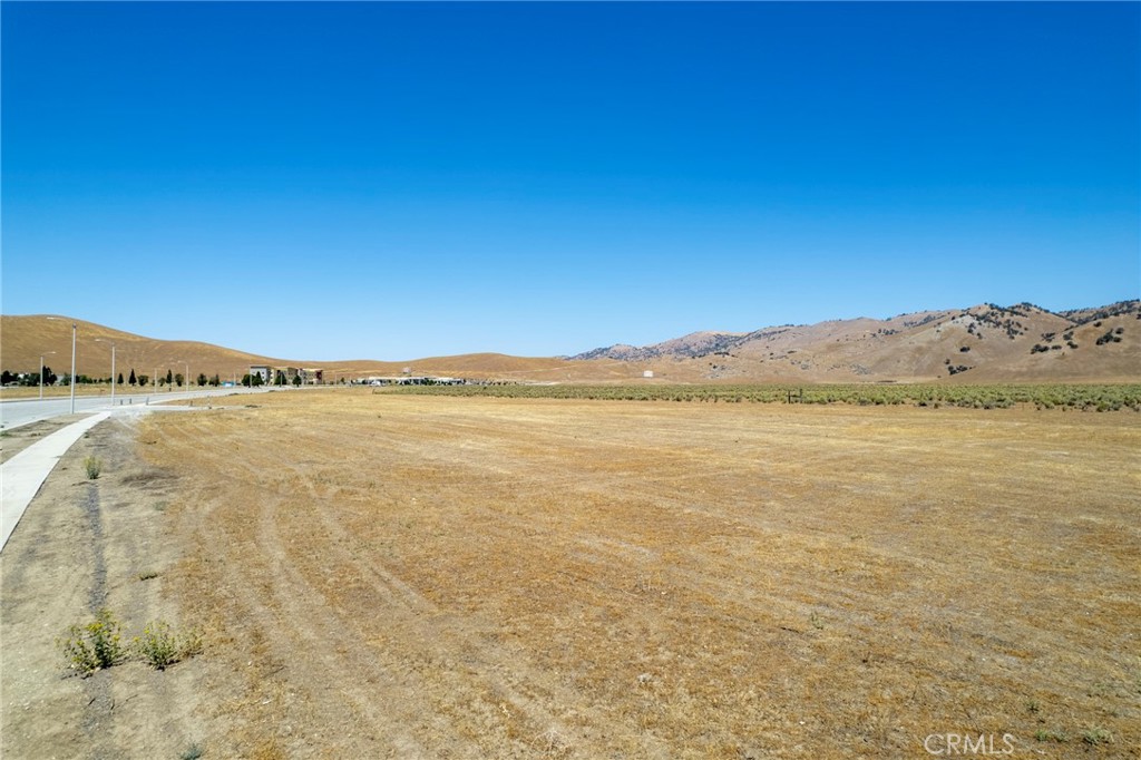 MLS #PI25096273 img 2