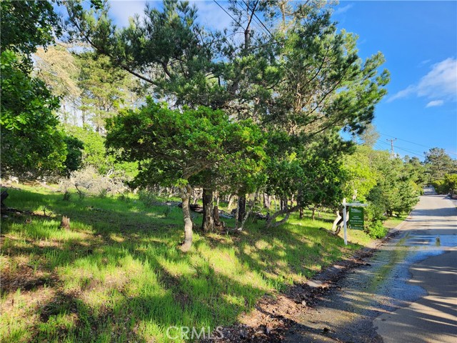 0 Norwich, Cambria, CA, 93428 0 Norwich, Cambria, CA, 93428