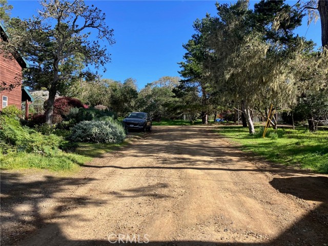 Front Image Thumbnail for CROC26023238