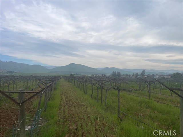 Front Image Thumbnail for CRFR26036952