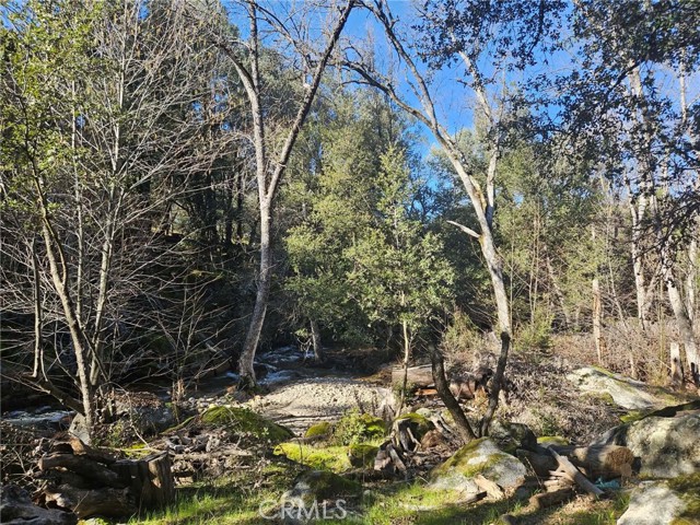 Detail Gallery Image 40 of 51 For 59366 Road 225, North Fork,  CA 93643 - – Beds | – Baths