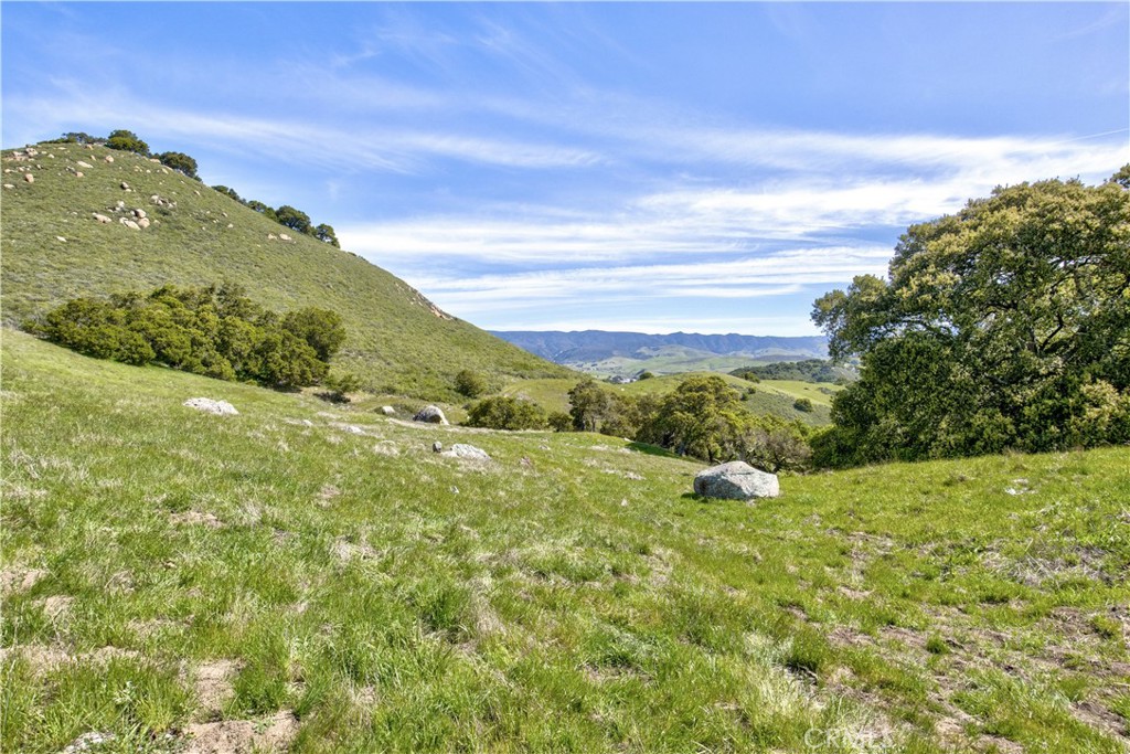 MLS #SC25063085 image #41