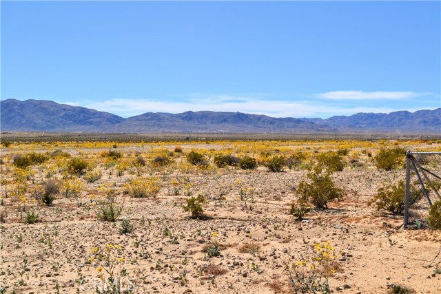 Detail Gallery Image 19 of 28 For 4040 Peter Rabbit, Twentynine Palms,  CA 92277 - 2 Beds | 1 Baths