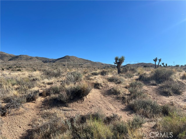 Front Image Thumbnail for CRHD25251785