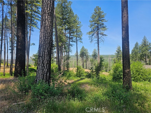 Detail Gallery Image 9 of 11 For 6649 Lincoln, Paradise,  CA 95969 - – Beds | – Baths