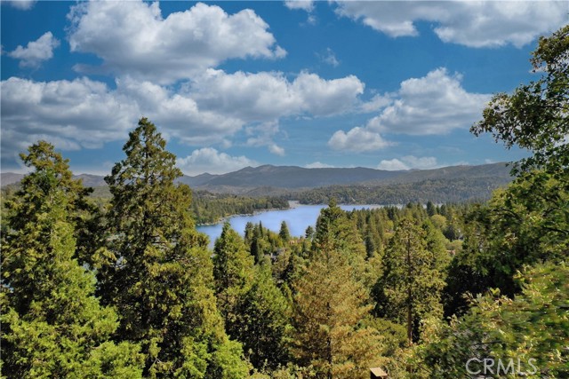 Detail Gallery Image 3 of 69 For 750 Zurich Dr, Lake Arrowhead,  CA 92352 - 4 Beds | 4/1 Baths