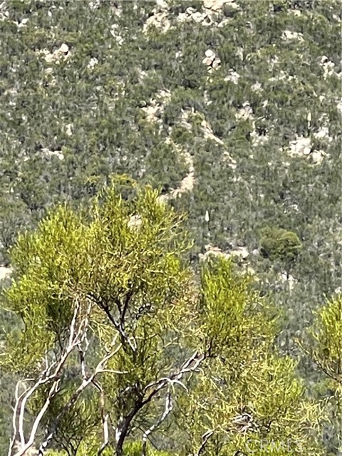 0 Hwy 79, Warner Springs, CA, 92086 0 Hwy 79, Warner Springs, CA, 92086