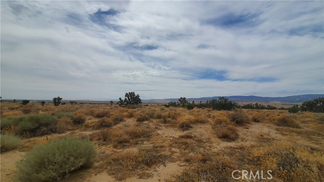 0 Vicinity Kingbird & 243rd St W, Rosamond, California 93560, ,Land,For Sale,0 Vicinity Kingbird & 243rd St W,CRSR23155108