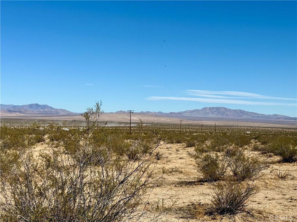 MLS #JT25208342 image #6