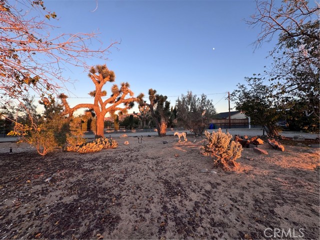 Detail Gallery Image 44 of 54 For 65585 4th St, Joshua Tree,  CA 92252 - 3 Beds | 2 Baths